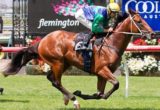 All Too Hard winning the Talindert Stakes at Flemington - photo by Race Horse Photos Australia