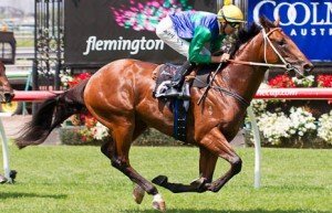 All Too Hard winning the Talindert Stakes at Flemington - photo by Race Horse Photos Australia