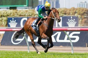 Flemington Raceday All Too Hard winning the Henry Bucks Sire's Prouce Stakes at Flemington - photo by Race Horse Photos Australia