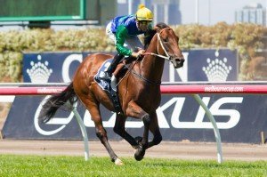 All Too Hard winning the Henry Bucks Sire's Prouce Stakes at Flemington - photo by Race Horse Photos Australia