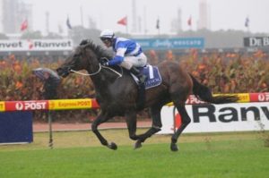 Aloha was an easing favourite but was too good to win the Group 1 Coolmore Classic - Photo by Steve Hart