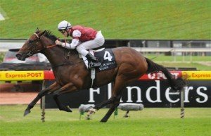 Josh Parr will retain the ride on late Golden Slipper inclusion Altar - Photo by Steve Hart