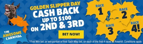 bigcarousel_14549_goldenslipper | Just Horse Racing bigcarousel_14549_goldenslipper