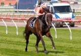 Black Caviar winning the Coolmore Lightning Stakes at Flemington - photo by Race Horse Photos Australia