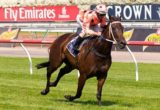 Black Caviar winning the Coolmore Lightning Stakes at Flemington - photo by Race Horse Photos Australia