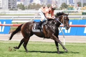 Black Caviar made it 10 wins from 10 starts today at Flemington - Photo by Steve Hart