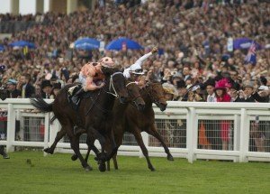 Black Caviar narrowly winning at Royal Ascot - Photo by Sarah Ebbett