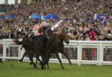 Black Caviar narrowly winning at Royal Ascot - Photo by Sarah Ebbett