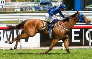 Caulfield Raceday