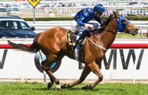 Caulfield Raceday | Just Horse Racing