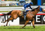Buffering winning the Group 2 at Caulfield - photo by Race Horse Photos Australia (Steven Dowden)