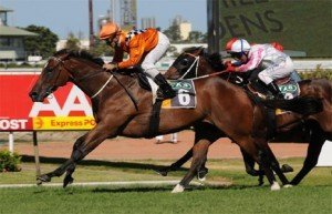 centennial-park-expressway-stakes | Just Horse Racing Centennial Park - Photo by Steve Hart