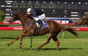 chasm-toorak-handicap Chasm - sportpix.com.au