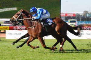 Chris Waller makes it 100 metropoliton wins after Velrosso took out the first on the card at Rosehill - Photo by Steve Hart