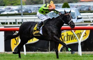 Caulfield Raceday | Just Horse Racing