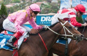 Moonee Valley Raceday | Just Horse Racing