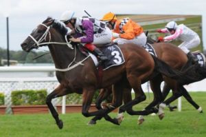 Danleigh takes out today's Chipping Norton Stakes - Photo by Steve Hart