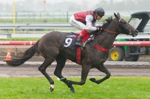 Flemington Raceday