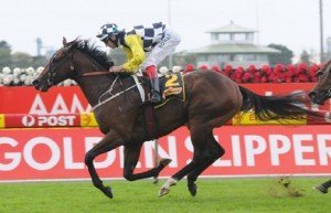 Do You Think winning Saturday's Group 3 Schweppervescence