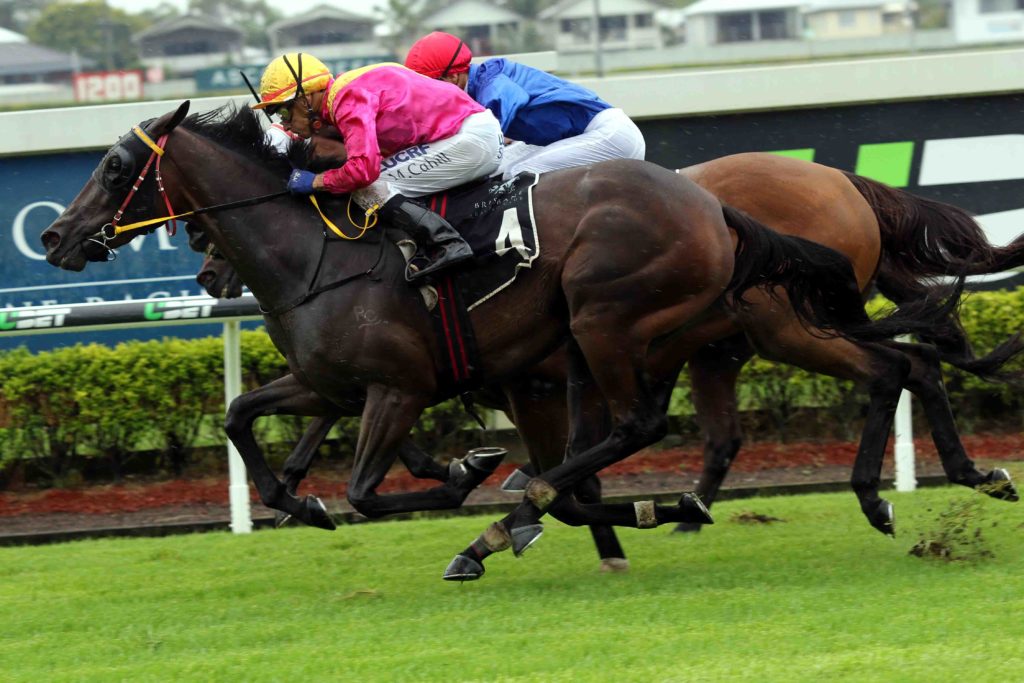 doomben race 2 Perilous Love 1 | Just Horse Racing