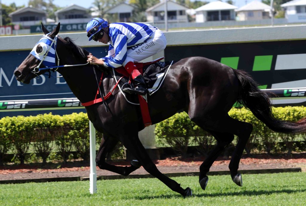 doomben race 4 -Bat A Cat1 | Just Horse Racing