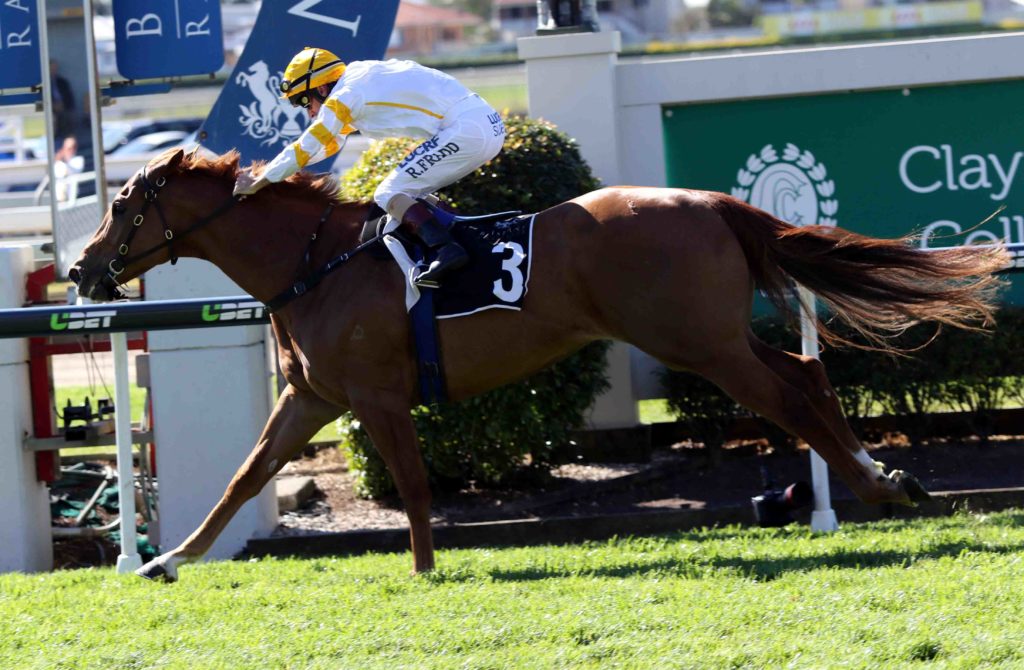doomben race 5 - Frespanol 1 Robbie Fradd | Just Horse Racing