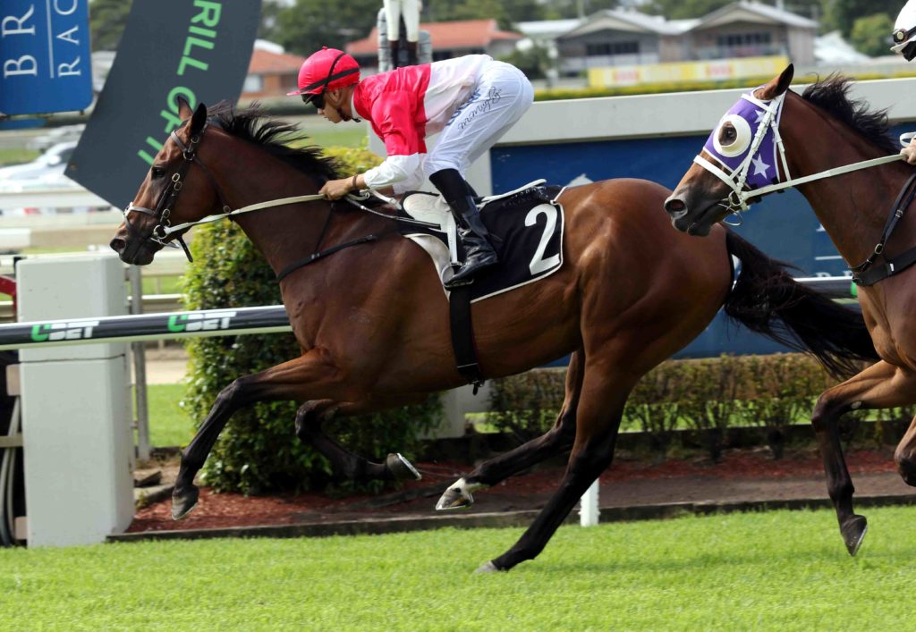 doomben race 5 Niccannova 1 | Just Horse Racing
