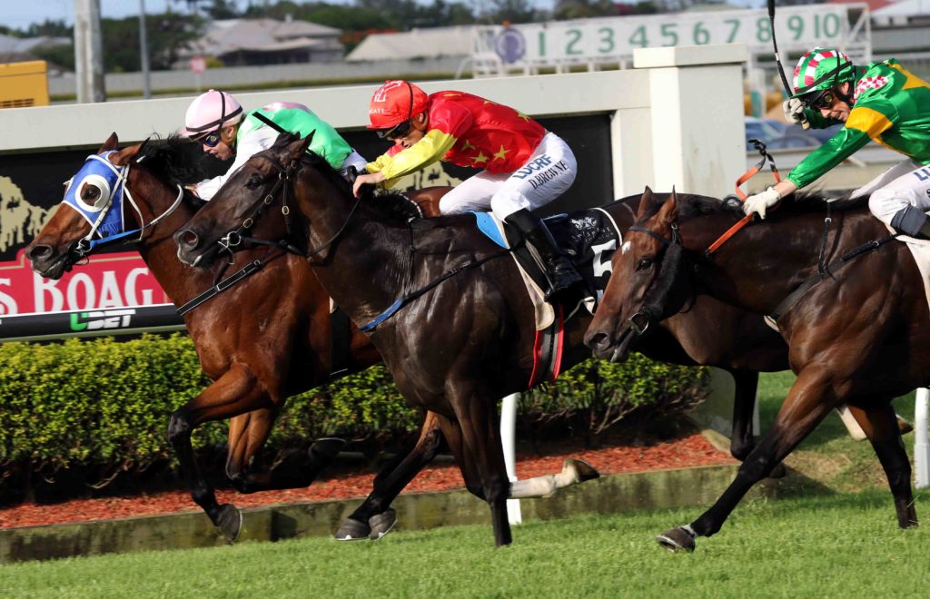 doomben race 8 Monsieur Gustave 1 | Just Horse Racing