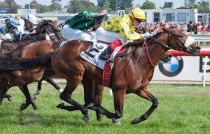 Caulfield Raceday | Just Horse Racing