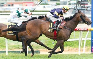 Caulfield Raceday