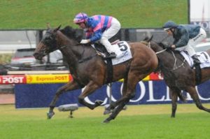 elite-falls-reisling-stakes Elite Falls winning the 2011 Reisling Stakes at Rosehill racecourse - Photo by Steve Hart