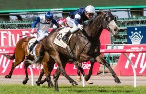 Flemington Raceday | Just Horse Racing