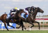 Fiorente - Photo by Sarah Ebbett