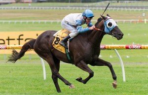 Sandown Raceday