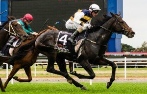 Geelong Raceday | Just Horse Racing