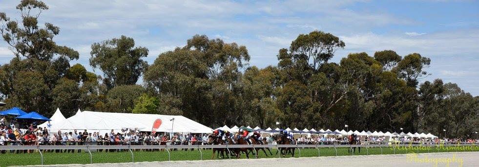 Gunbower Horse Racing Tips and Best Bets – Saturday 3/10/2026