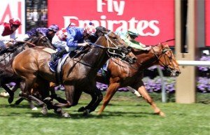 headway-auries-star-handicap