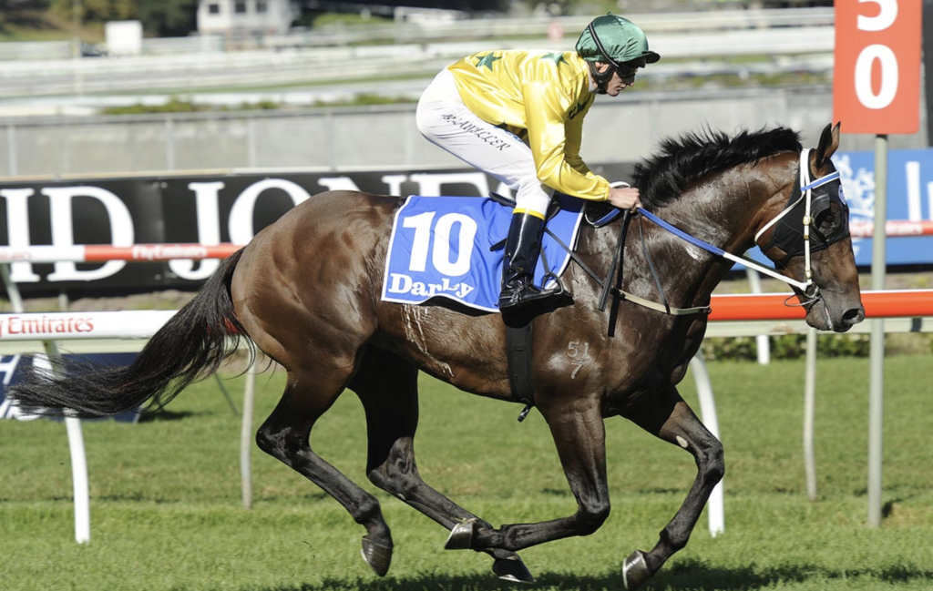 hinchinbrook | Just Horse Racing