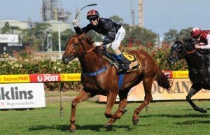 Ilovethiscity draws well in Saturday's Turnpoint Randwick Guineas - Photo by Steve Hart