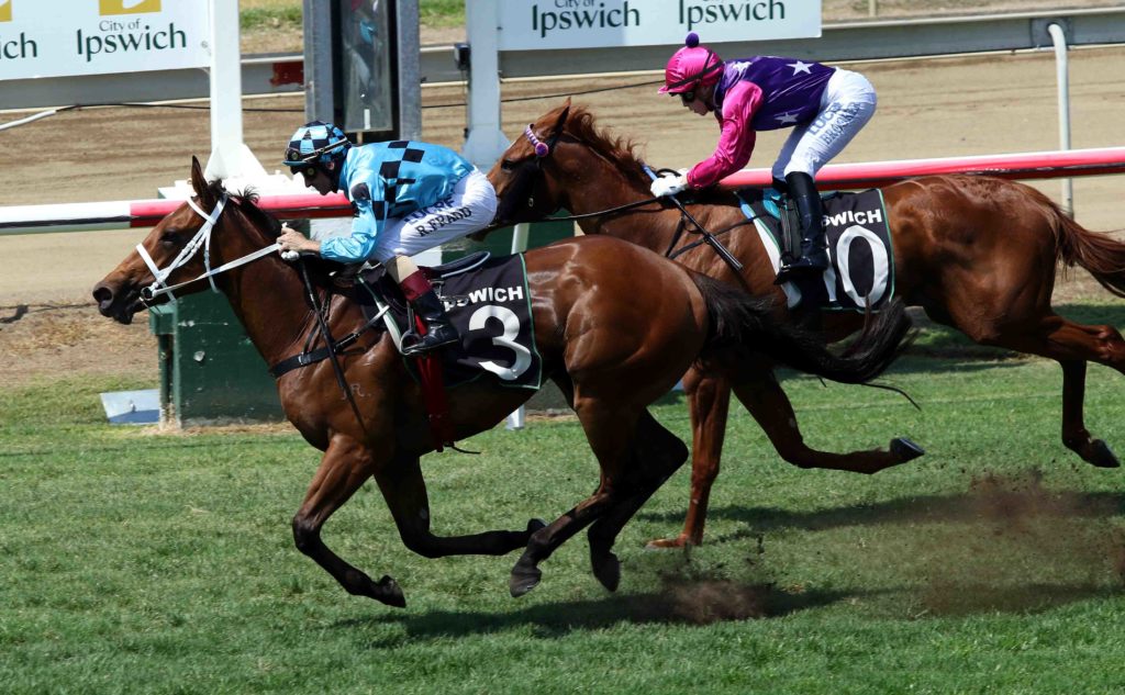 ipswich race 2 - Colosimo | Just Horse Racing