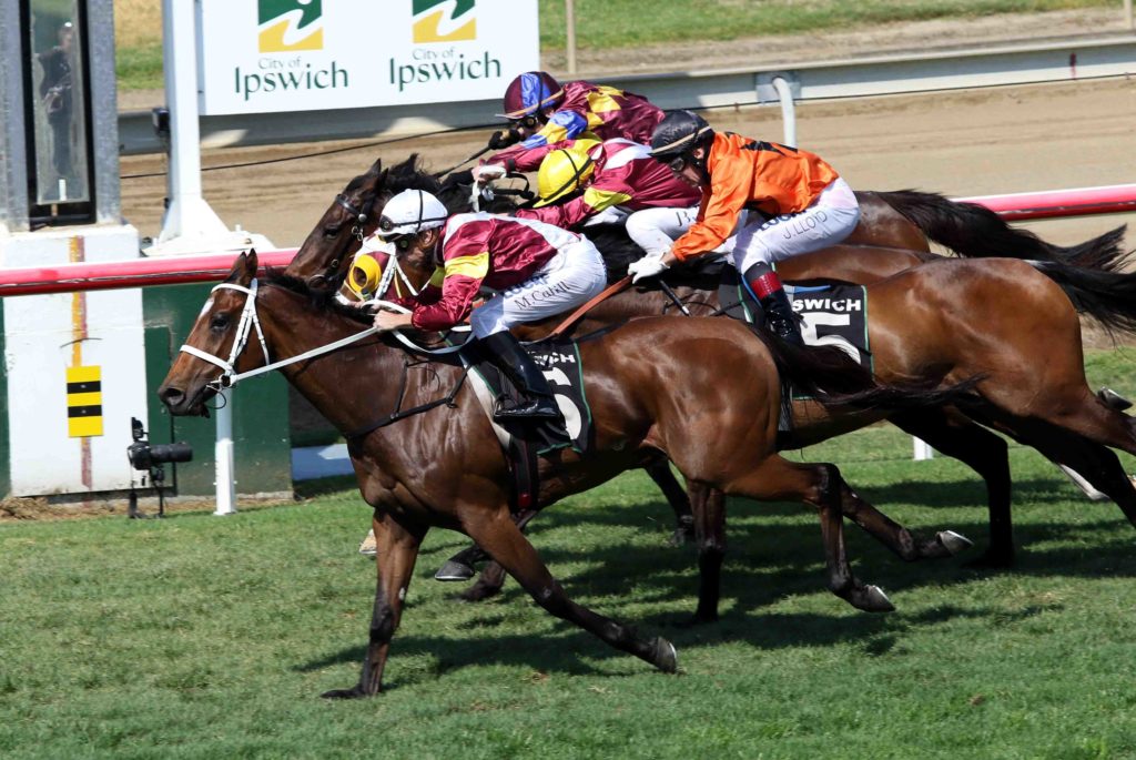 ipswich race 4 - Loving Home | Just Horse Racing