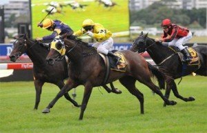 Jessicabeel wins the 2010 Sydney Cup