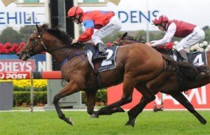 Rosehill Guineas winner 'Jimmy Choux' has drawn the inside barrier for the AJC Australian Derby - Photo by Steve Hart