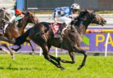 Lucas Cranach winning the Carlton Draught Peter Young Stakes at Caulfield - photo by Race Horse Photos Australia
