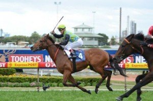 Beautifully ridden by Glyn Schofield, Manawanui collected the $600,000 first prize - Photo by Steve Hart