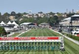 Melbourne Cup Field