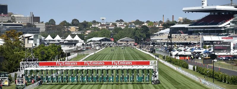 Melbourne Cup Field