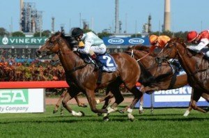 monton-rosehill-december-3