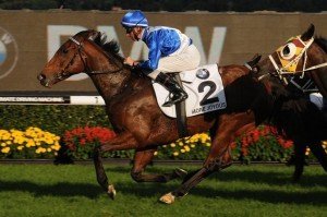 more-joyous-2012-doncaster-mile