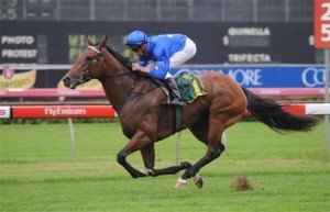 More Joyous in Saturday's Breeders Classic - Photo by Steve Hart